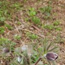 임월교 앞 이미지