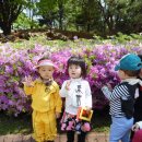 책 놀이터 나들이 이미지