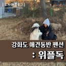 위플독