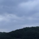 구시장칼국수 | 6-3 아쉬움과 후회의 차이