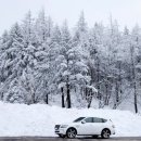 춘삼월목장 이미지