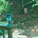 완두콩가족펜션 이미지