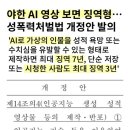 야한 AI영상보면 3년이하 징역형.성폭력 처벌법 개정안발의.민주당 지지자 수준을 알수있는 댓글들.. 이미지