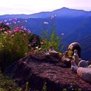 견불동정원 이미지