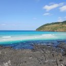 제주도 여행 후기 (4박5일)