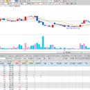 윌링스플러스 이미지