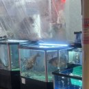 아현수산