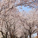 낙동강변7 이미지