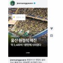 월드컵현대상가앞 | 울산 문수월드컵경기장 1층 W8구역 S열 좌석 시야 및 울산HD FC 전북현대 여름 경기 직관