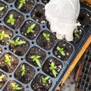 복골농장1 이미지