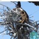 지앤미약국 이미지