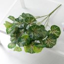 녹색플라워 이미지