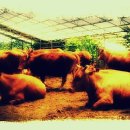 송송골느림보협동조합 이미지