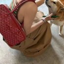 포이티 네이버블로그