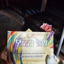 알파카 소풍 펜션 이미지