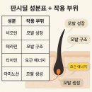 한독큰약국 | 판시딜 처방 보험 적용될까