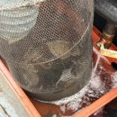 블랙펄 | 안면도 쭈꾸미 낚시배 블랙펄호 후기 및 예약 방법