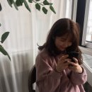 키쉬미뇽 이미지