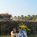제주코기네 | 강아지 행복 MAX 찍은 제주 숙소… 제주코기네 내돈내산