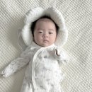 라운드3 | 시오나 더라운드핏 3주 사용 후기｜신생아 카시트 머리 흔들림증후군