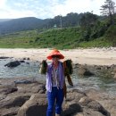 익금해수욕장1 이미지