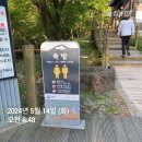 [제주/한라산] 여자 둘이서 5월한라산 등산 후기(성판악 코스, 소요시간, 주차장, 준비물 등)
