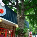 피자알볼로 문래직영점 이미지