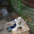 낙동남로 이미지