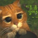 스타일헤어존