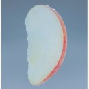 과일킹 | 독서템/이옥토 과일 책갈피/테무 구입후기/수박씨 킹받네