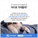 다산동물병원 이미지