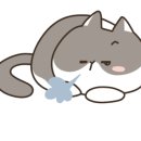 장보고칼국수 이미지