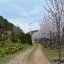 당골농장 이미지