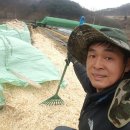 빽대패