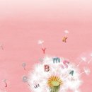 시니어영어(기초) 이미지