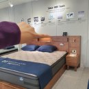 에이스침대 대전월평점 | [8단계] 가구 준비하기 (1): 가구 브랜드 정하기, 발품 팔기 (까사미아, 시몬스, 일룸)