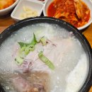 고려 - 파주시 경의로1240번길 14-31 | 여름철 보양식 고려 삼계탕 후기 나눔