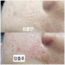 씨앤엘쁘띠
