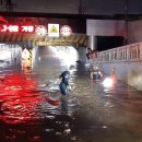 우장춘로 이미지