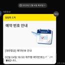 제주도 혼자 여행 Day1, 2 (제주도 결항, 올레길 1코스, 피크엔드, 물음표 게스트하우스, 돌하루팡)