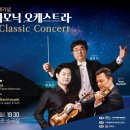 거제필하모닉오케스트라 이미지