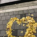 선영볼링장 앞 | 오랜만이야