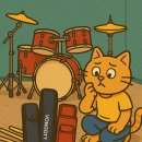 리앤윤 | 🥁 2025 가성비 드럼스틱 케이스 추천 BEST 7