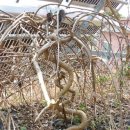 수양목장 이미지