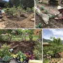 손태원농장 | 팜가드닝 후기