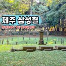 삼사석비 | 제주시 관광지 볼거리 제주 삼성혈 제주 시내 가볼만한곳