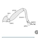 곤충의 다리구조 이미지