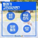 해모로세탁 이미지