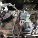 미주카센타 이미지