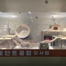 로던트클럽 강서마곡점 이미지